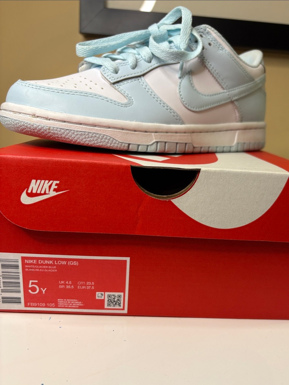 Nike Kids Dunk Low Sneakers in Light Blue and White